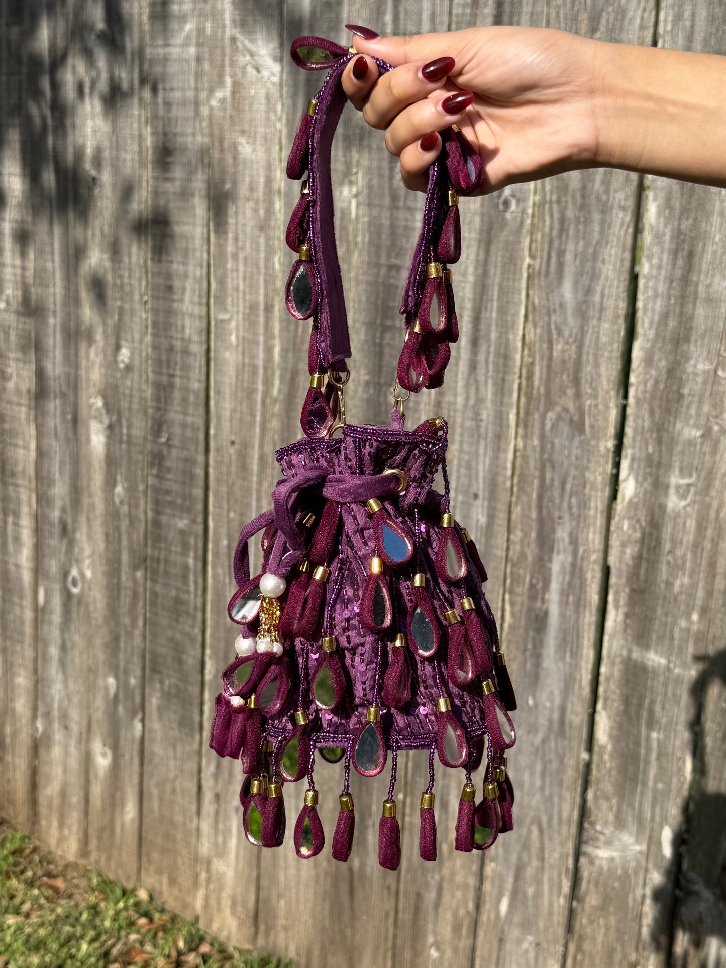 Mirror Magic Polti Bag