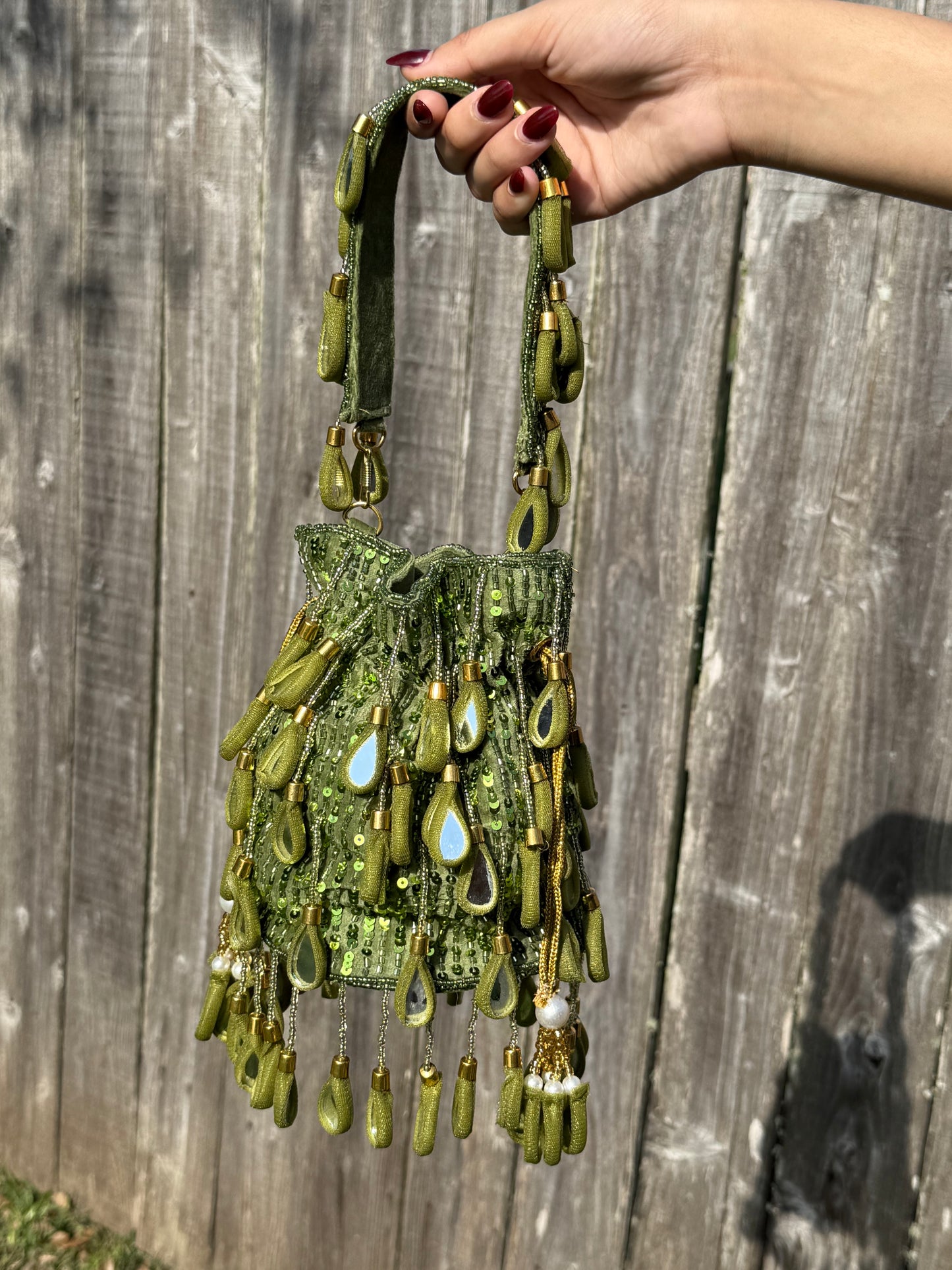 Mirror Magic Polti Bag