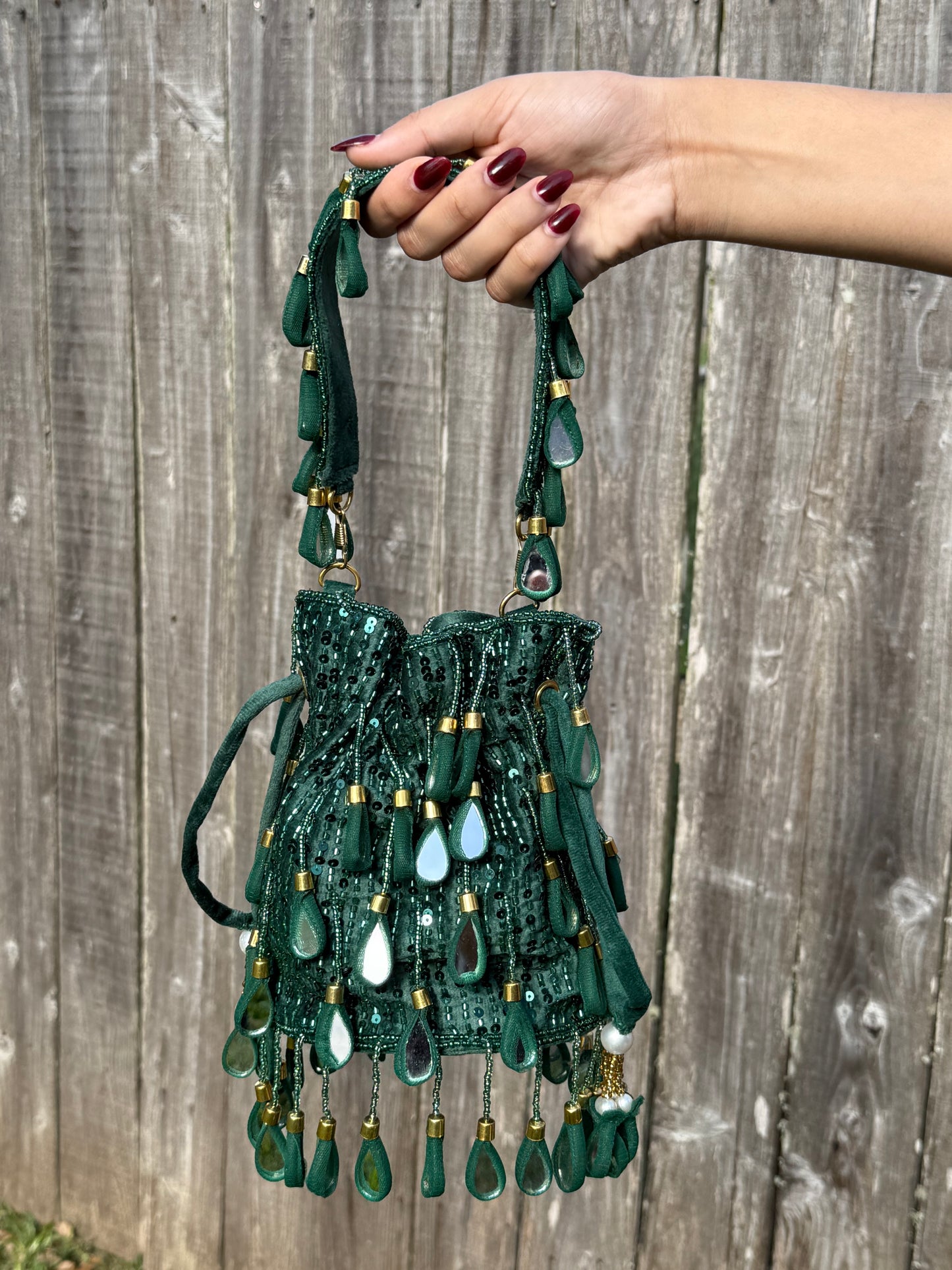 Mirror Magic Polti Bag