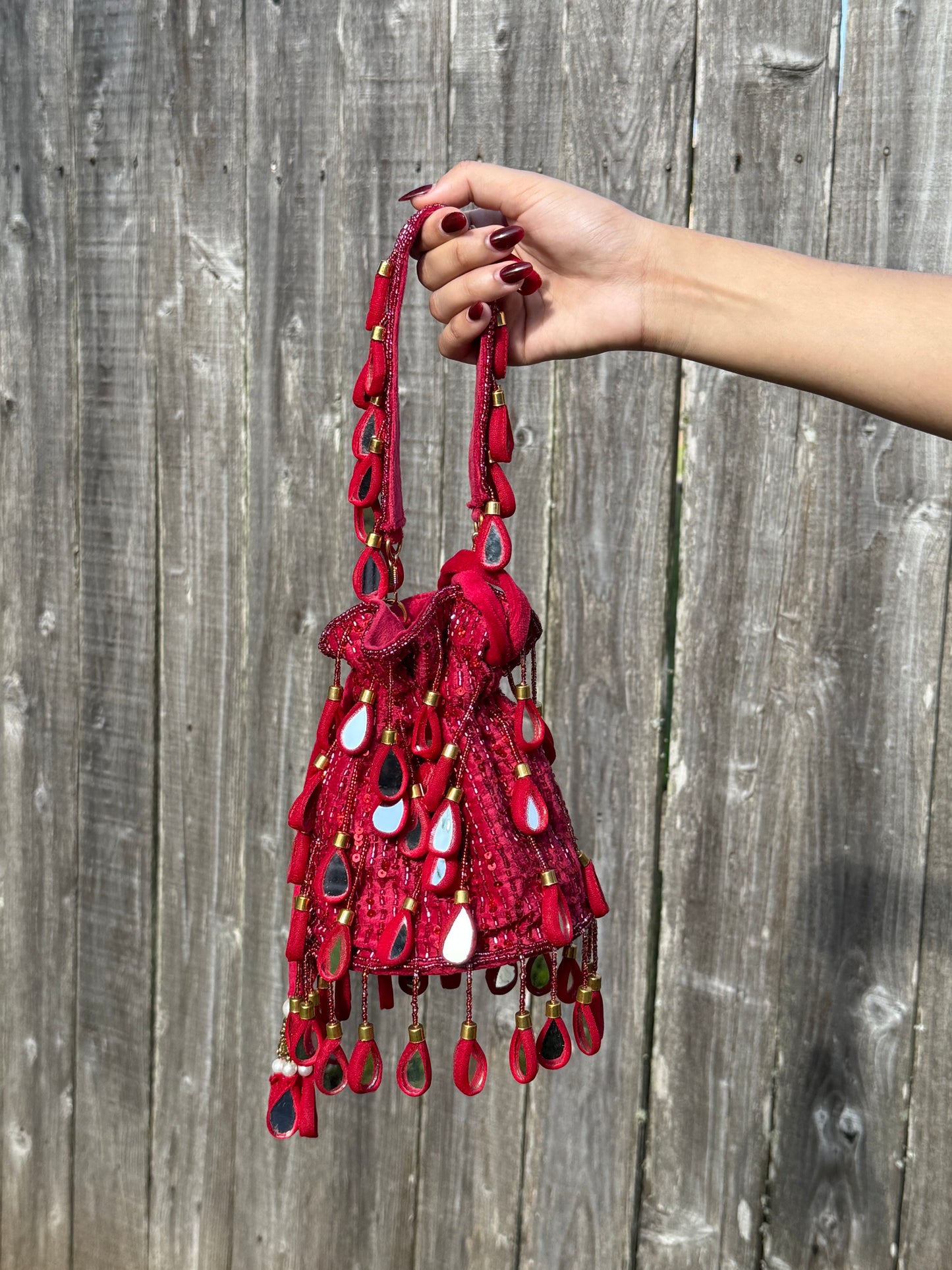 Mirror Magic Polti Bag